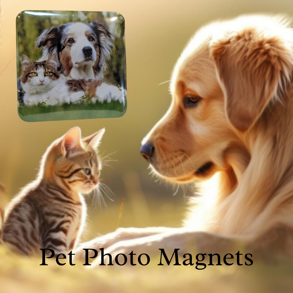 Personalized Photo magnets: Brides, New Moms, Baby, Fur Babies, Graduation, Family